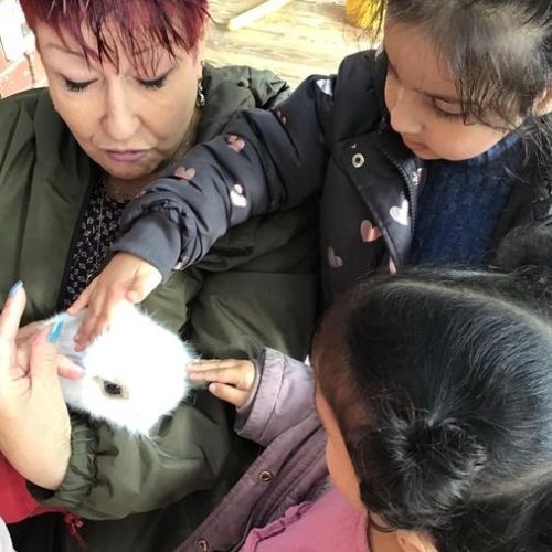 Week 6 - 7.10.24 - Caring for our rabbits