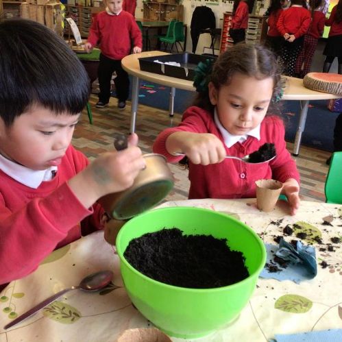 Week 3 - 12.03.24 - Planting Sunflower Seeds