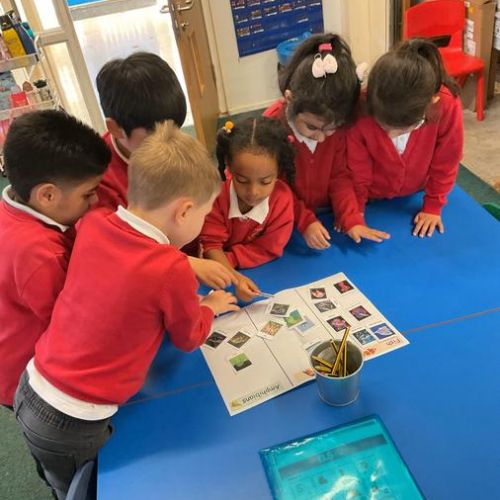 Week 4 - 25.11.24 - Science - Amphibians, Fish or Bird