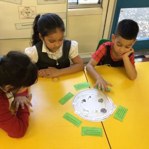 Week 7 - 17.10.24 - Making a Seder plate in RE