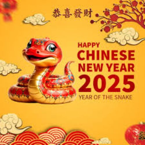 Week 29.01.25 - Chinese New Year